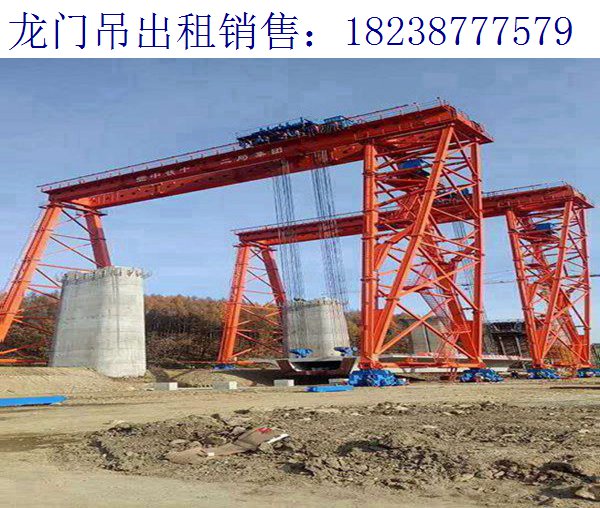 20噸龍門吊安裝 遼寧遼陽(yáng)龍門吊廠家