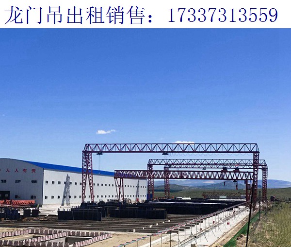 湖北宜昌龍門吊廠家 檢測工作面臨的挑戰