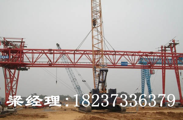 浙江杭州龍門吊銷售廠家分析起重機吊車事故原