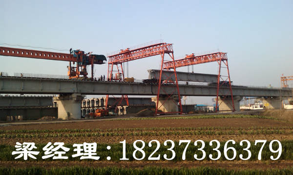 陜西西安龍門吊廠家品質贏市場