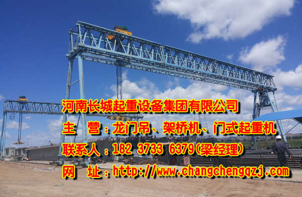 海南海口單梁門式起重機廠家向全國各地銷售高