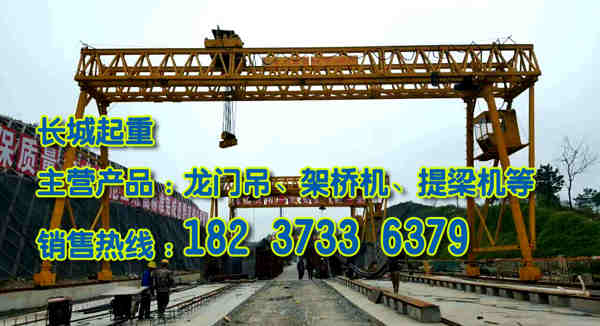 福建龍巖門式起重機廠家