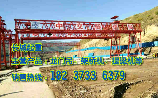 湖南永州龍門吊公司