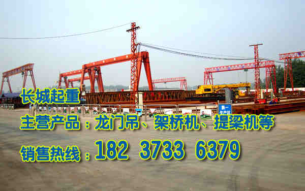 湖北武漢門(mén)式起重機(jī)廠家