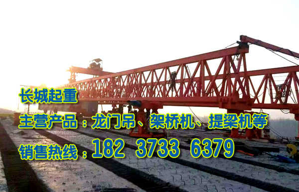 甘肅武威架橋機(jī)廠家介紹起重機(jī)的選購