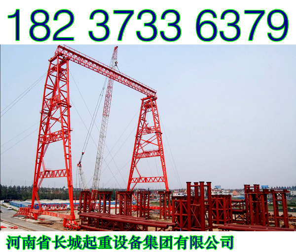 廣西南寧龍門吊廠家科技求發展